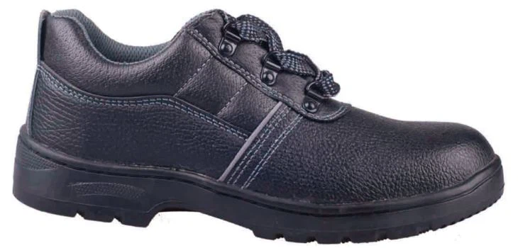 TH-L2067 Safety Shoes